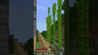 CASA NUEVA  / SERVIDOR PEDOLAND LIMITS CON ADDONS / SHORTS SERIE PARTE 2 