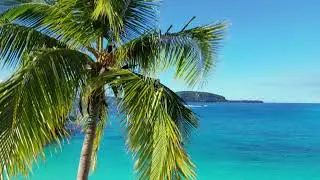 Champagne Beach, Santo (Vanuatu)