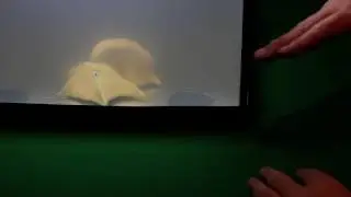 Как сделать гомункула 11