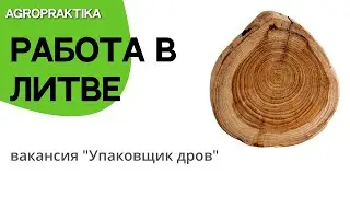 Бесплатное официальное трудоустройство в Литву. Вакансия подходит для людей без опыта работы