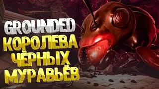 Grounded ➤ КОРОЛЕВА ЧЁРНЫХ МУРАВЬЁВ / ГДЕ НАЙТИ РЕЦЕПТЫ УГОЩЕНИЙ ДЛЯ КОРОЛЕВЫ / КОРОЛЕВСКАЯ ДИЛЕММА