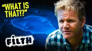 Gordon Finds Mysterious White Stains on Hotel Bed... | Hotel Hell FULL EPISODE | Filth