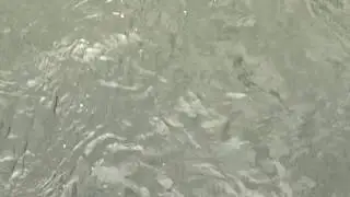 River Hypnotising Surface Free HD Video Background