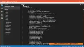 VSCode Language Mode