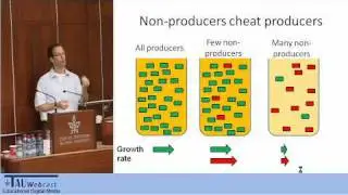 Bacterial Tower of Babel -- How Cheating and Lying Diversify Bacterial Communication