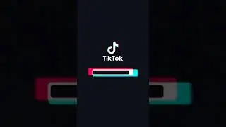 котики в тик ток