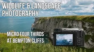 Wildlife & Landscape photography | Micro Four Thirds at Bempton Cliffs - How did we get along?
