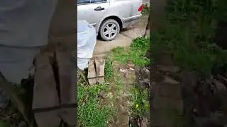 развод жены повлиял ее ужасу 