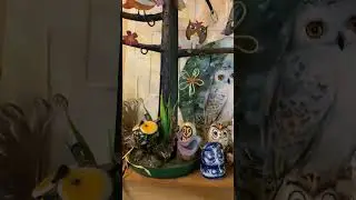 Сов много не бывает))
