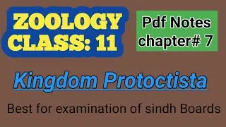 Zoology class 11/kingdom protoctista/chapter 7/pdf notes/best for examination /sindh text book board