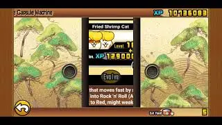 Epic Fest be like