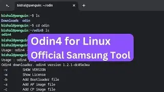 Odin4 for Linux: The Official Samsung Firmware Flash Tool