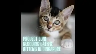Project LUNI Promo Video