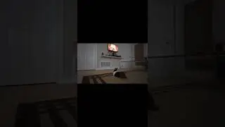 Dutch Bunny Rabbit Knows How To Relax #shorts #shortsvideo