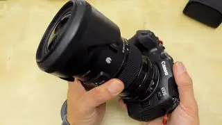Canon R7 with EF to RF Drop-in VariND and Sigma 18-35mm | Video Test
