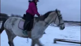 Как обучить лошадь  прыжкам в троеборье ?