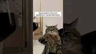 Хотели бы себе такой? 😋😅