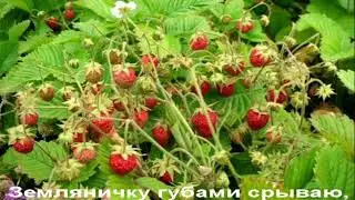 Слышу пульс твой ...