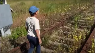 Тайна заброшенных путей 🚧 Куда ведут старые рельсы? ⛔ Электричка ЭП3Д 🚝