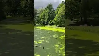 ЛЕТО 2024