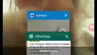 Кити в детсве😇😇