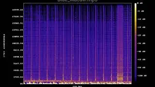 Blue Macaw mp3