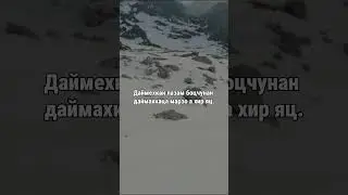19. Даймахках лаьцна. ГIиллакхийн хазна – Ирсан некъаш