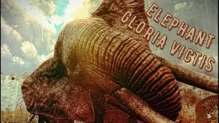 Gloria Victis Elephant