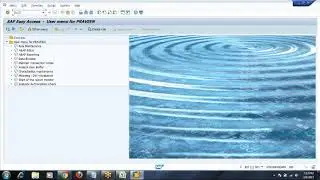 Day 14 -  Implementation Phase of SAP Security