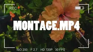 Montage.mp4 using Power Director 16