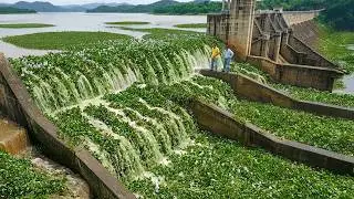 Heavy Weed Removal Opens Up Blocked Bridge Drainage
