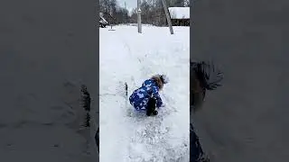 💞Матвеюшка🥰