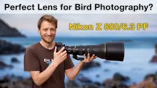 Nikon Z 800mm f/6.3 PF - Field Review Bird Photography