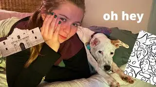 I got a job, a puppy, and moved out! | Where I’ve been the last 4 months 🤪🤭🥴
