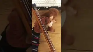 #basssquirrel plays Forget Me Nots by Patrice Rushen. Original bassline by Freddie Washington.