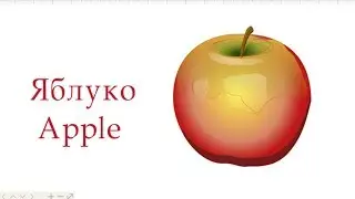 Apple how to draw an apple, how to draw an apple, step by step