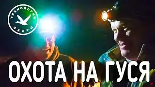 Ночная подготовка к охоте на гуся ✅