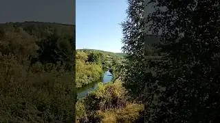 Илим. Между сёлами Неверкино и Бикмурзино. Место обитания бобров.