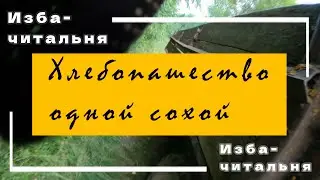 Почему оппозиции не нравилось укрепление экономики и товарности деревни // Антисередняцкий уклон