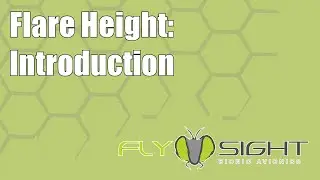 Flare Height: Introduction