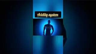 Human digestive system and acidity system 
