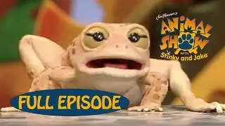 Animal Show | Toad 🐸 / Elephant Seal | Jim Henson Family Hub