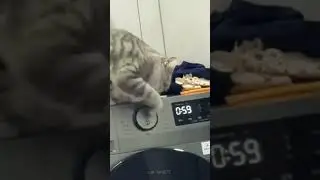 That's why my laundry takes so long 🤣🤣 