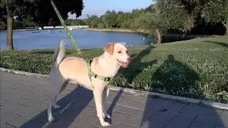 La pequeña Tana