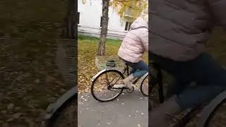 VID 20241028 144857 #витямитя