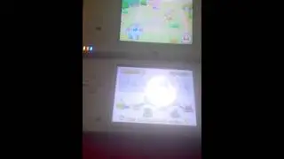 Como poner el modo secreto de super mario bros nds
