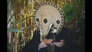 Julián Mayorga - Las urracas