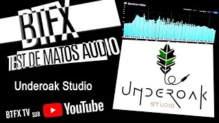 Under Oak Studio
