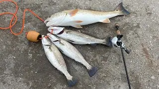 speckled trout fishing at Seawolf Park
