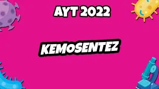 AYT Biyoloji - Kemosentez | AYT Biyoloji 2022 